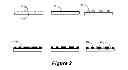 Fig. 03 - CONDUCTIVE PATTERN FORMATION