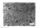 Fig. 01 - Fe-Pt-C Based Sputtering Target