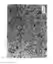 Fig. 02 - Fe-Pt-C Based Sputtering Target