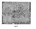 Fig. 41 - Electrochemical sensors