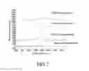 Fig. 06 - Bio-chip and method for separating and concentrating particles using the same