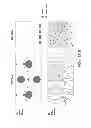 Fig. 02 - BIOFUNCTIONAL NANOFIBERS FOR ANALYTE SEPARATION IN MICROCHANNELS
