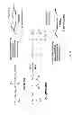 Fig. 04 - BIOFUNCTIONAL NANOFIBERS FOR ANALYTE SEPARATION IN MICROCHANNELS