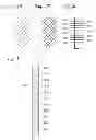 Fig. 04 - ANTI-ROTATION KNURLS