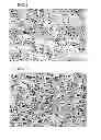 Fig. 02 - Microporous modified-polytetrafluoroethylene membrane, porous-modified-polytetrafluoroethylene-membrane composite and production process thereof, and separation membrane element