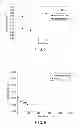 Fig. 04 - Desalination treatment membrane