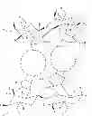 Fig. 07 - Chitosan derivative, a method for its preparation and its use as an adsorption agent