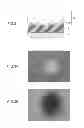 Fig. 03 - ETCHING SOLUTION, METHOD FOR MANUFACTURING PIEZOELECTRIC ELEMENT AND ETCHING METHOD