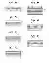 Fig. 02 - Process for producing liquid ejection head