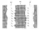 Fig. 01 - Plasma processing method