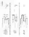 Fig. 09 - Systems and methods providing controlled AC arc welding processes