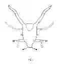 Fig. 07 - Convertible child carrier