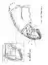 Fig. 04 - Skin stapler with components optimized for construction with plant based materials