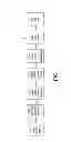 Fig. 02 - Group V doping of GaAs-based layers to improve radiation tolerance of solar cells
