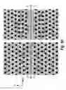 Fig. 08 - Method for the chip-integrated spectroscopic identification of solids, liquids, and gases