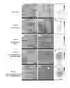 Fig. 01 - Matrix assisted laser desorption ionisation mass spectrometry imaging (MALDI-MSI)