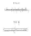 Fig. 06 - Adhesive and protective member used in a wafer processing method