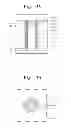 Fig. 08 - Semiconductor devices and methods of fabricating the same