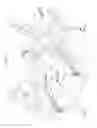 Fig. 02 - Automobile chassis frame structure