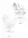 Fig. 02 - Chair having a dynamically-flexible back and seat