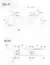 Fig. 22 - Linked semiconductor module unit and electronic circuit-integrated motor device using same