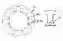 Fig. 01 - ROTATING ELECTRICAL MACHINE AND ELECTRIC POWER STEERING SYSTEM USING THE SAME