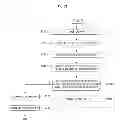 Fig. 25 - Organic light emitting display device and driving method thereof
