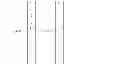 Fig. 06 - Method and apparatus for providing electrical energy