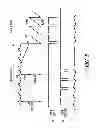 Fig. 06 - Windowless H-bridge buck-boost switching converter