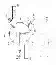 Fig. 06 - Measurement apparatus