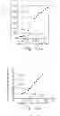 Fig. 06 - Frequency multiplier apparatus and operating method thereof