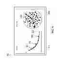 Fig. 06 - Radar reception device, radar apparatus and radar reception signal displaying method