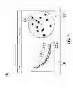 Fig. 08 - Radar reception device, radar apparatus and radar reception signal displaying method