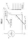 Fig. 02 - Method and apparatus for an optical frequency rectifier