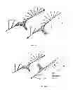 Fig. 02 - Gyrotropic metamaterial structure