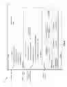 Fig. 06 - Automatic generation of hierarchy visualizations