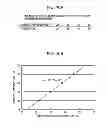 Fig. 10 - Liquid ejecting apparatus and liquid ejecting method
