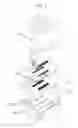 Fig. 02 - Liquid ejecting head and liquid ejecting apparatus