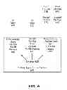 Fig. 07 - Multi-view display system