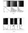 Fig. 08 - Systems and methods for thermophotonic dynamic imaging