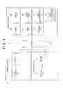 Fig. 02 - Image reproduction apparatus and image reproduction method