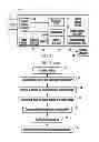 Fig. 02 - Pre- and post-shutter signal image capture and sort for digital camera