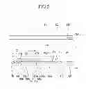 Fig. 06 - Display device including switching elements and method for driving the display device