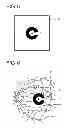 Fig. 06 - FUNDUS OBSERVATION APPARATUS
