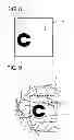 Fig. 08 - FUNDUS OBSERVATION APPARATUS