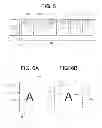 Fig. 04 - IMAGE PROCESSING APPARATUS AND IMAGE PROCESSING METHOD