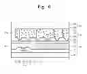 Fig. 07 - COLOR ELECTRONIC PAPER DISPLAY AND METHOD OF FABRICATING THE SAME