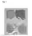 Fig. 06 - FILM OR COMPOSITE THAT INCLUDES A NANOMATERIAL