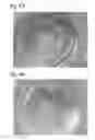 Fig. 07 - FILM OR COMPOSITE THAT INCLUDES A NANOMATERIAL