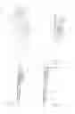 Fig. 02 - Compact flashlight
